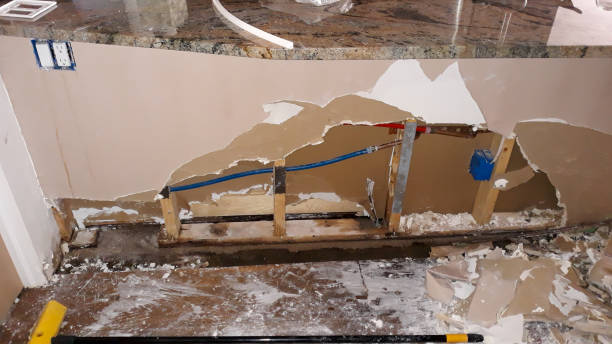 Best Water damage cleanup near me  in Dermott, AR