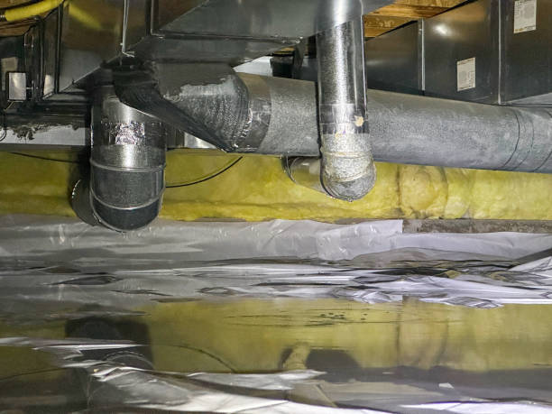 Best Professional water damage repair  in Dermott, AR