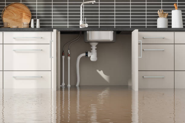 Best 24-hour water damage restoration  in Dermott, AR
