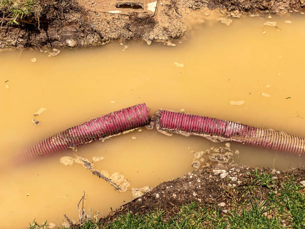 Best Local water damage restoration  in Dermott, AR